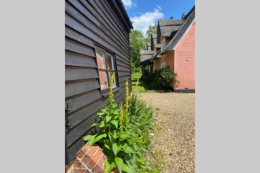 Depden Gorgeous Comfortable Barn With Huge Private Orchard In Quiet Suffolk Location מראה חיצוני תמונה